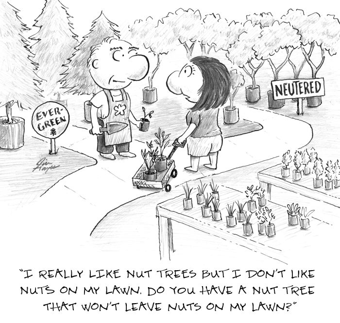 I really like nut trees but I don't like nuts on my lawn